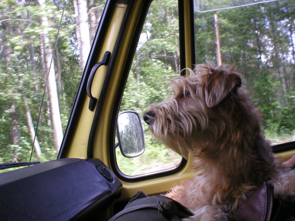 Semester 2006 016.jpg