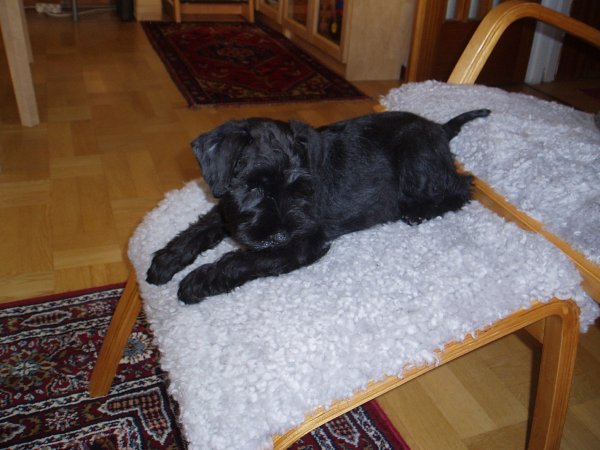 Motala Motormuseum 09 033.jpg