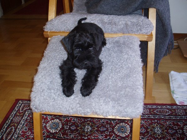 Motala Motormuseum 09 026.jpg