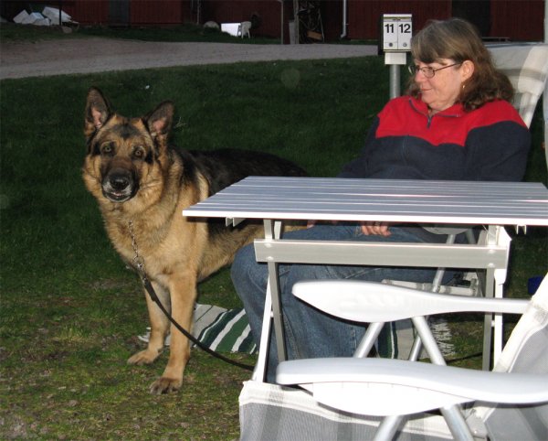 Zack i Sjötorp hbk.jpg