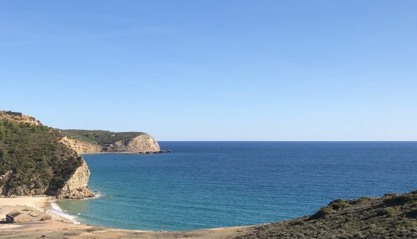 fullsizeoutput_12cf.jpeg fullsizeoutput_12cf.jpeg