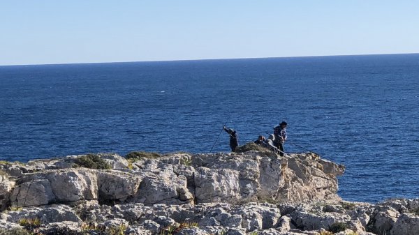 fullsizeoutput_12bd.jpeg fullsizeoutput_12bd.jpeg