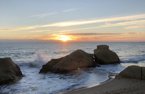 fullsizeoutput_12ea.jpeg fullsizeoutput_12ea.jpeg