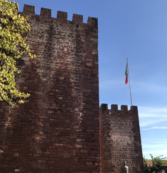 fullsizeoutput_1304.jpeg fullsizeoutput_1304.jpeg