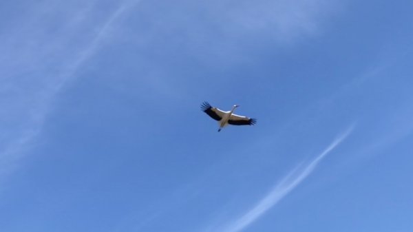 fullsizeoutput_12f6.jpeg fullsizeoutput_12f6.jpeg