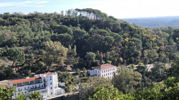 fullsizeoutput_12fa.jpeg fullsizeoutput_12fa.jpeg