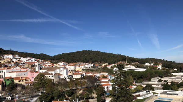 fullsizeoutput_1300.jpeg fullsizeoutput_1300.jpeg