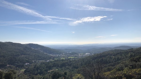 fullsizeoutput_1302.jpeg fullsizeoutput_1302.jpeg