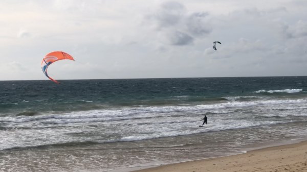 fullsizeoutput_1313.jpeg fullsizeoutput_1313.jpeg