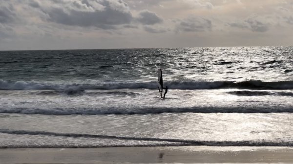 fullsizeoutput_1314.jpeg fullsizeoutput_1314.jpeg