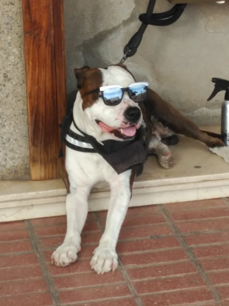 2017-12-11 16.39.08.jpg