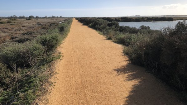 fullsizeoutput_1323.jpeg fullsizeoutput_1323.jpeg