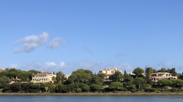 fullsizeoutput_1321.jpeg fullsizeoutput_1321.jpeg