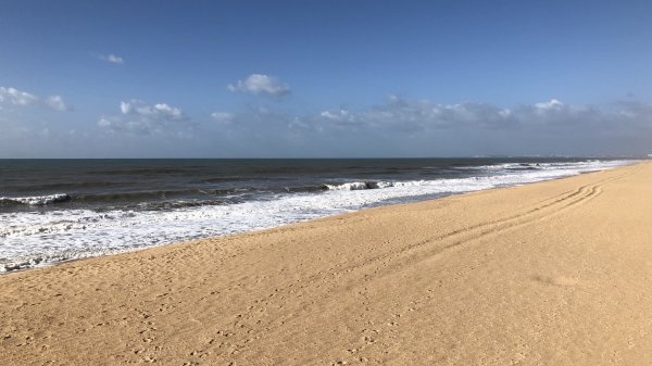 fullsizeoutput_131f.jpeg fullsizeoutput_131f.jpeg