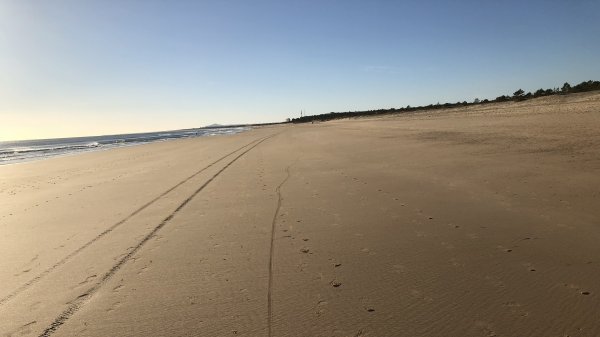 fullsizeoutput_1338.jpeg fullsizeoutput_1338.jpeg