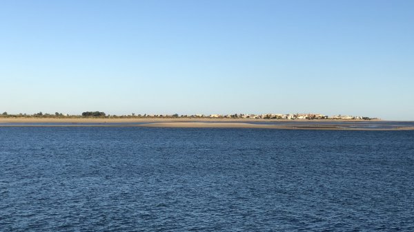 fullsizeoutput_1330.jpeg fullsizeoutput_1330.jpeg