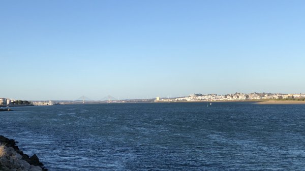 fullsizeoutput_1332.jpeg fullsizeoutput_1332.jpeg