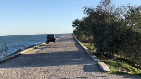 fullsizeoutput_1334.jpeg fullsizeoutput_1334.jpeg