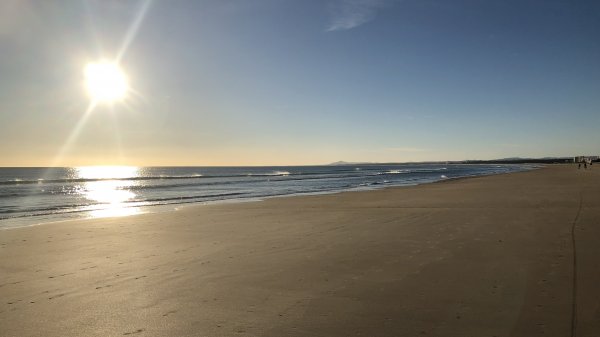 fullsizeoutput_1336.jpeg fullsizeoutput_1336.jpeg