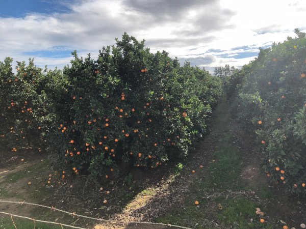 IKLAwXTLTYSSjinaY6Hj4w.jpg IKLAwXTLTYSSjinaY6Hj4w.jpg