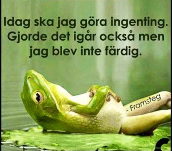 fullsizeoutput_1346.jpeg fullsizeoutput_1346.jpeg