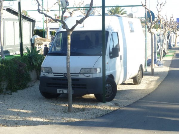 P1010070.jpg P1010070.jpg