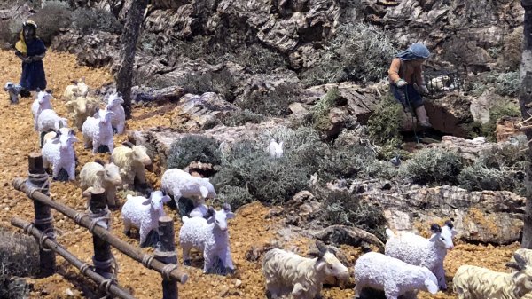 fullsizeoutput_1379.jpeg fullsizeoutput_1379.jpeg