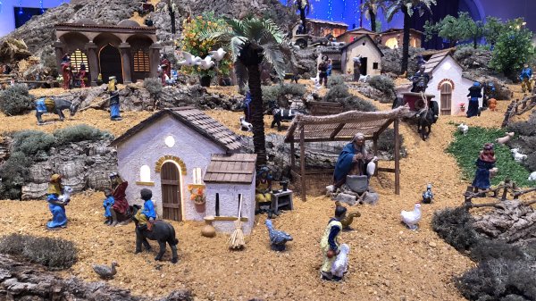 fullsizeoutput_137d.jpeg fullsizeoutput_137d.jpeg