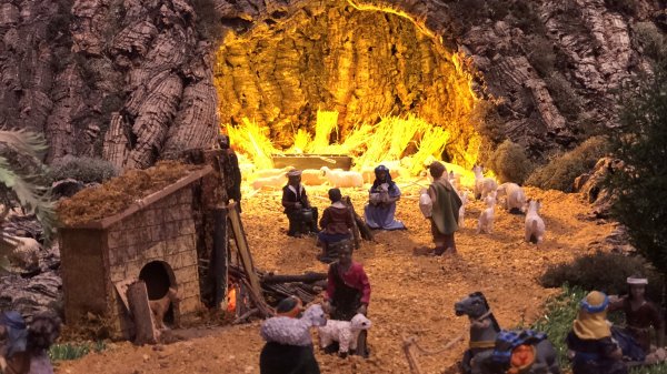 fullsizeoutput_1387.jpeg fullsizeoutput_1387.jpeg