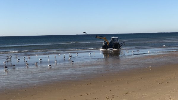 fullsizeoutput_1395.jpeg fullsizeoutput_1395.jpeg