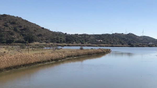 fullsizeoutput_13bc.jpeg fullsizeoutput_13bc.jpeg