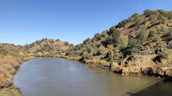 fullsizeoutput_13be.jpeg fullsizeoutput_13be.jpeg