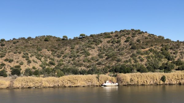 fullsizeoutput_13c4.jpeg fullsizeoutput_13c4.jpeg