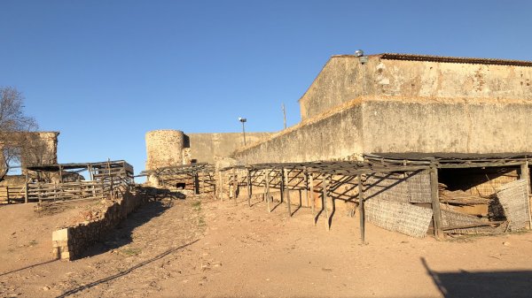 fullsizeoutput_13da.jpeg fullsizeoutput_13da.jpeg