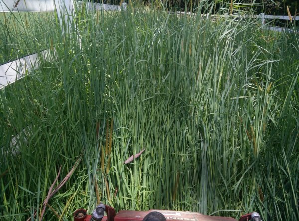 IMG_20171211_134425.jpg IMG_20171211_134425.jpg