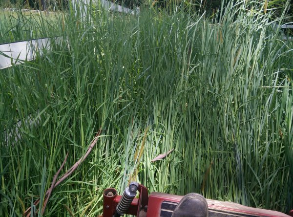 IMG_20171211_134430.jpg IMG_20171211_134430.jpg