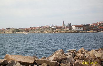 Guleskär