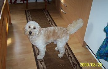 Se så fin Jag blev.