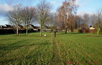 Måndags promenad 003.JPG