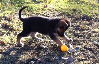 Ändrade planer denna helg