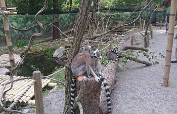 Bilder från Eskilstuna