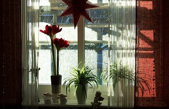 100_1360.jpg 100_1360.jpg