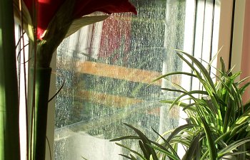 100_1364.jpg 100_1364.jpg