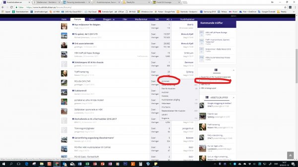 Skärmbild (46)_LI.jpg Skärmbild (46)_LI.jpg
