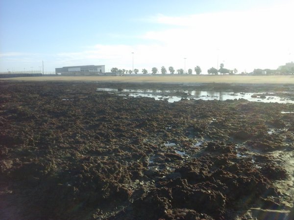 180118 mot stranden.jpg