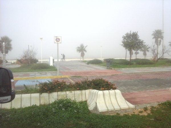 180120 Dimma.jpg 180120 Dimma.jpg