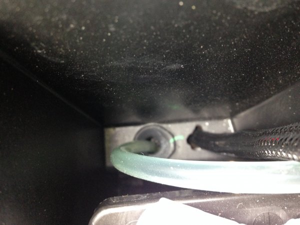 IMG_5575.JPG IMG_5575.JPG