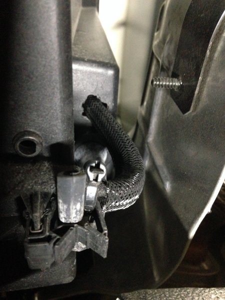 IMG_5625.JPG IMG_5625.JPG