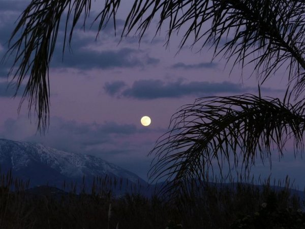 Månsken i Spanien.jpg