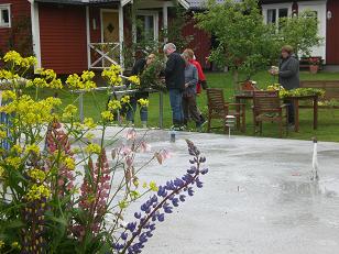 Midsommar 08 012.jpg